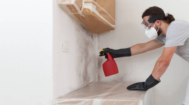 Professional Attic Mold Remediation technician working in Warfield, VA