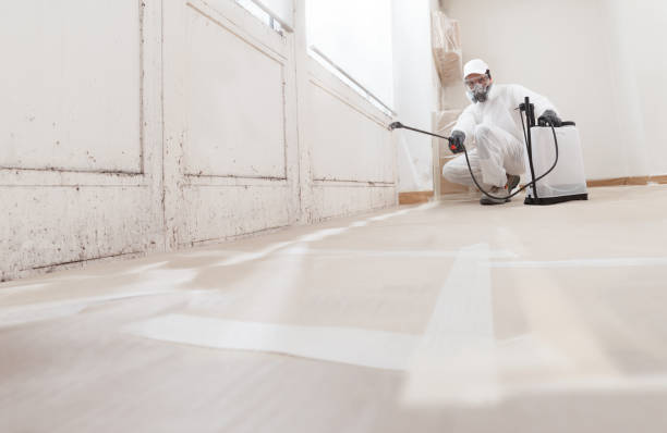 24/7 Emergency Attic Mold Remediation experts in Warfield, VA