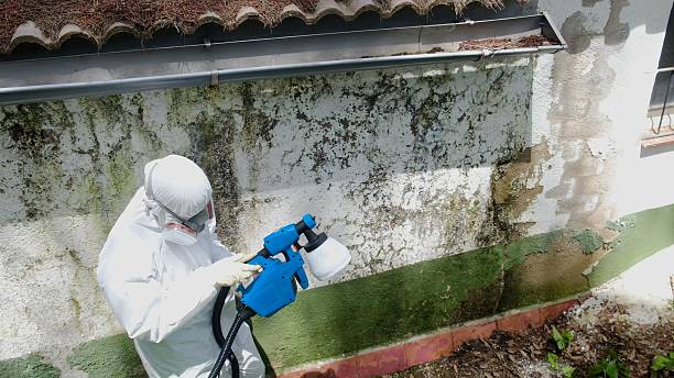 Top rated local Attic Mold Remediation specialists in Warfield, VA